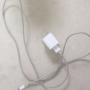 iPhone 5/6 charger