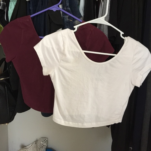 brandy Melville crop top BUNDLE