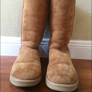 Chestnut Tall Uggs