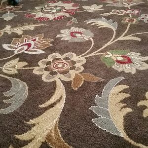 Area Rug. ONLY 3 months  old!