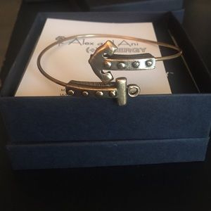 Alex and Ani Anchor Wrap and Purple Stone Bracelet