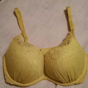 34D VS Plunge Push-Up