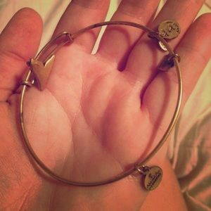 Shark fin bracelet from Alex and Ani
