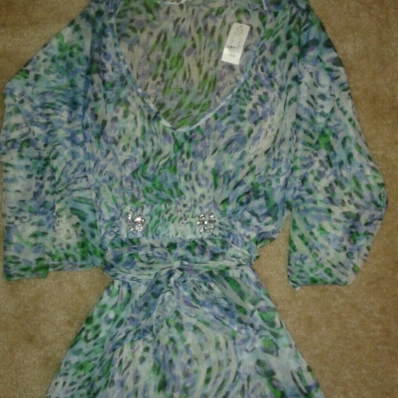 Sheer Blouse