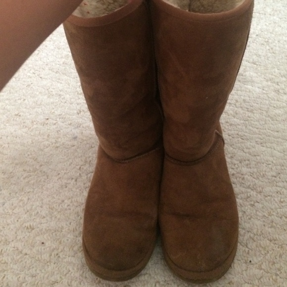 Tall Chestnut uggs. AUTHENTIC