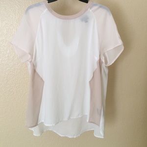 Sheer Beige & White Top