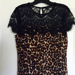 Ann Taylor lace and cheetah top