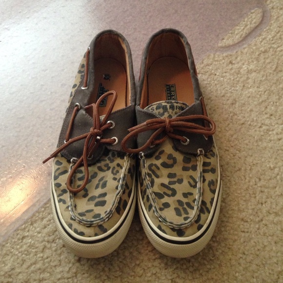 Cheetah sperries