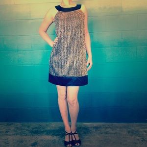 Fun twenties Great Gatsby party dress
