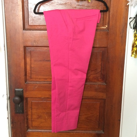 Zara Pink Pants