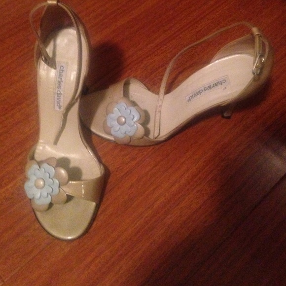 Charles David shoes