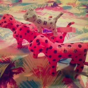 RARE MINI DOGS NEVER SOLD