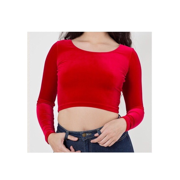 AA Velvet Crop Top/ Chiffon Blouse Bundle
