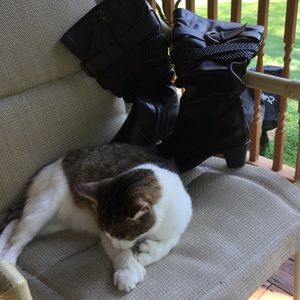 Boots.  Size 8W.   Wide calf.   Never worn.