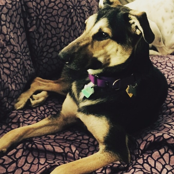 👉🏽NOT FOR SALE👈🏽