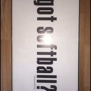 "Got Softball?" Picture frame