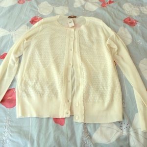 LOFT Ivory Long-Sleeved Sweater Size XL