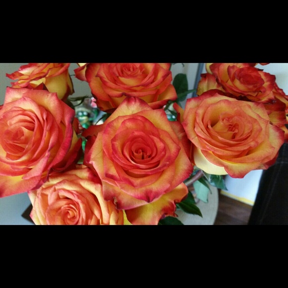 3 tops Bundle for @bch5485