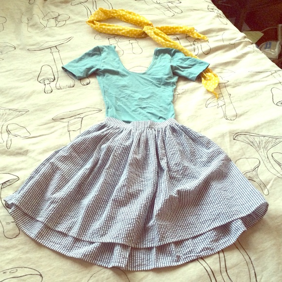 NWOT American Apparel Seersucker A-line Skirt