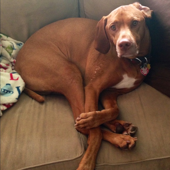 ~MEET YOUR SELLER~ - Picture 4 of 8