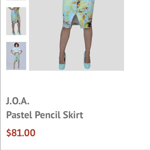 Pencil Skirt - Picture 3 of 3