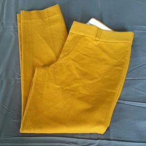 Mustard Yellow Pants