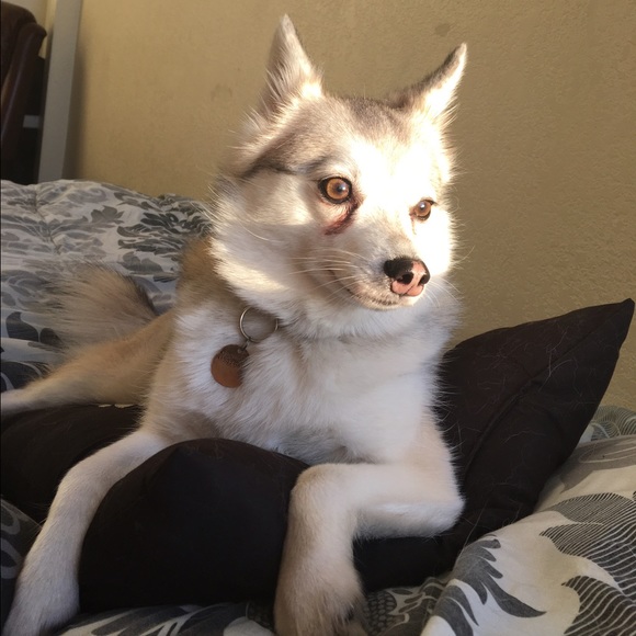 Hello 🖤 - Picture 5 of 8