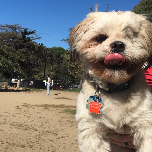 Hello 🖤 - Picture 6 of 8