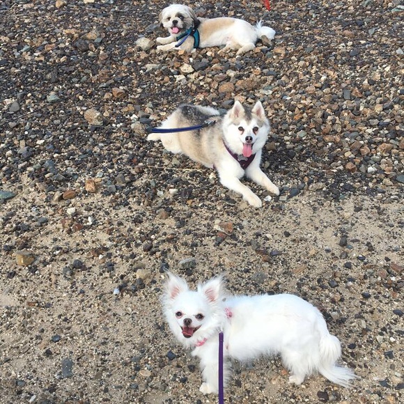 Hello 🖤 - Picture 3 of 8