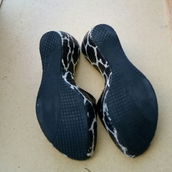 Wedge hills - Picture 3 of 3