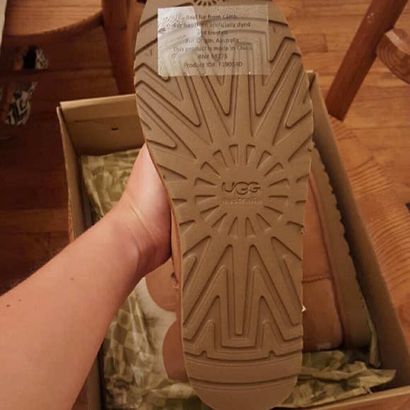 UGG Shoes - Brown Short Ugg Boots