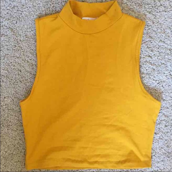 NWOT❗️Turtleneck Crop Top