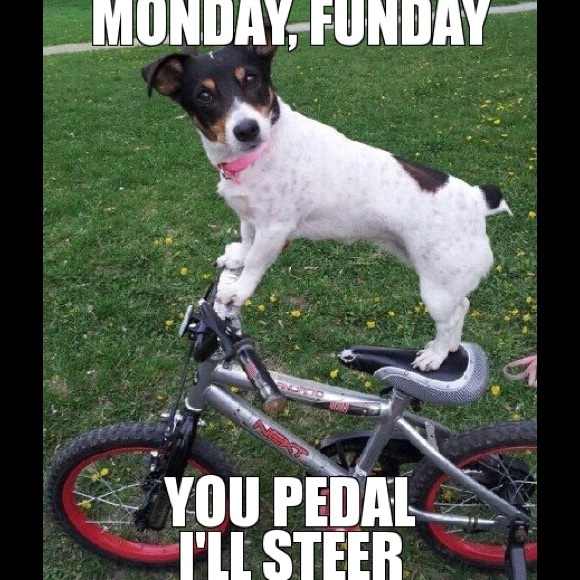 Monday Funday  5 purses for 100.00 Extended