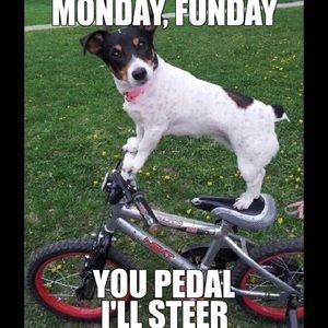 Monday Funday  5 purses for 100.00 Extended