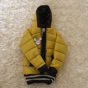 iPhone 5 case - yellow jacket