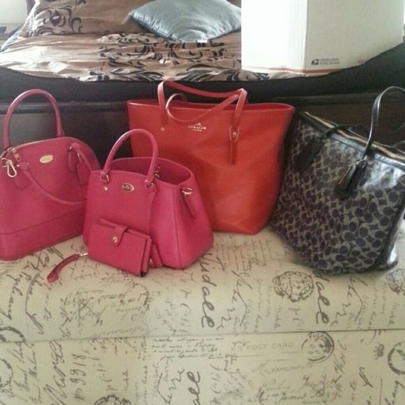 ***Coach big beauties***