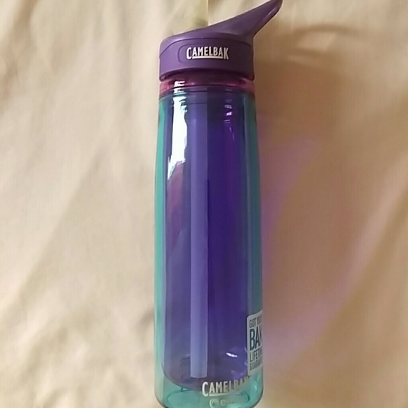 Purple Insulated Camelbak Eddy