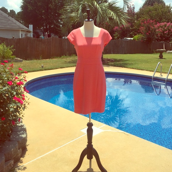 Limited sheath dress new with tags size 6