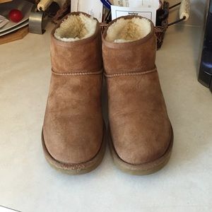 Chestnut short Uggs