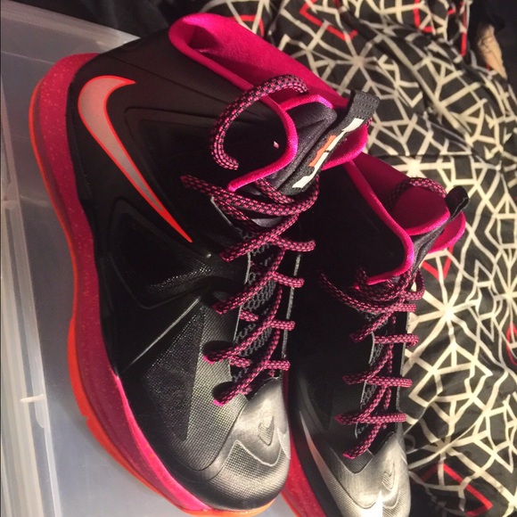 Lebron x Floridians