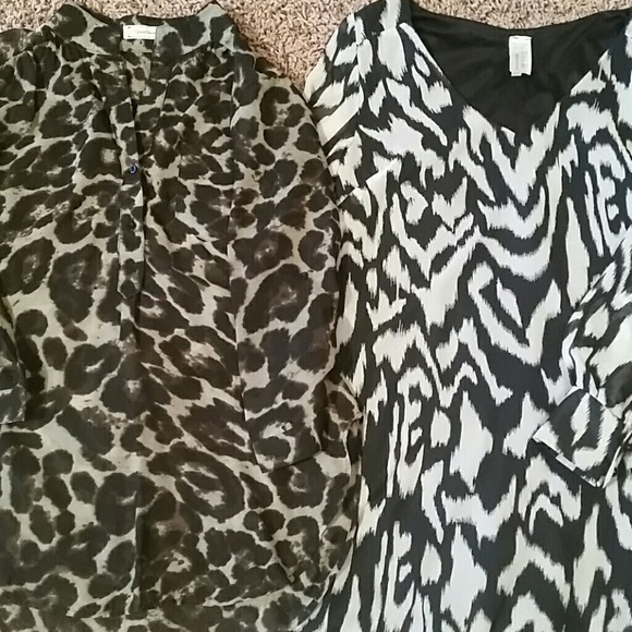 Two for the Price of One!!!