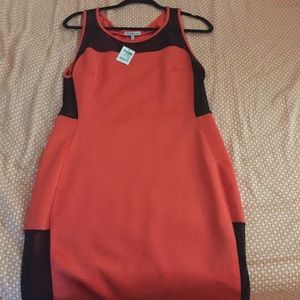 Charlotte Russe bodycon dress
