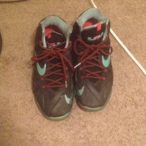 Lebron 11s