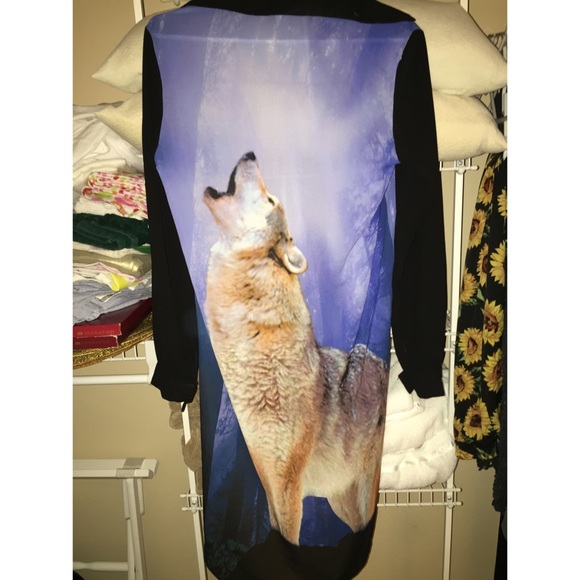 FRISKY WOLF SHEER HIGH LOW BLOUSE