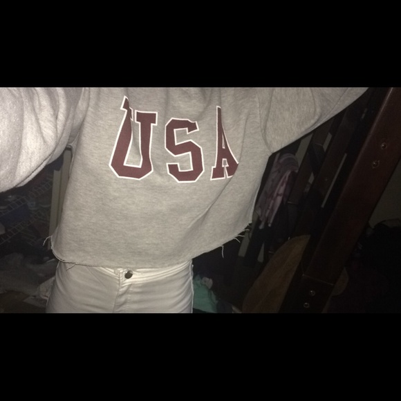 Crop USA grey sweater Pacsun