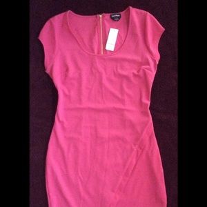 NWT Bebe Pink Dress