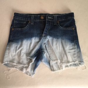 Hand Made Ombré Shorts