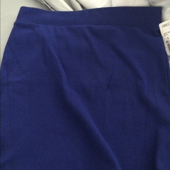 Forever 21 Bodycon Skirt