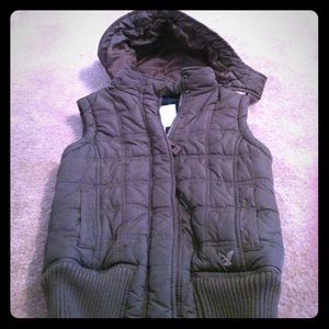 Brown American eagle fall and winter best
