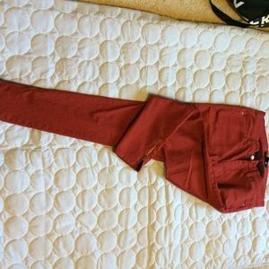 Chestnut skinnys